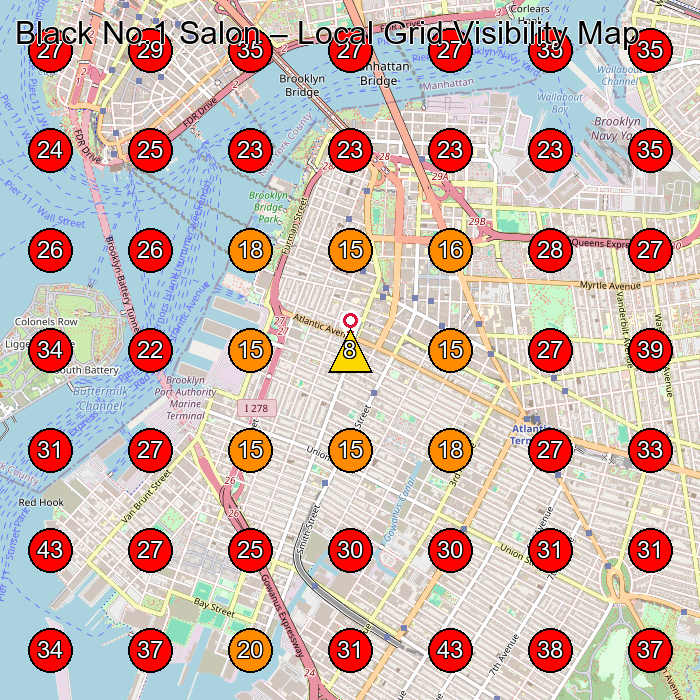 Black No.1 Salon GeoGrid visibility map for Hair Salon in Brooklyn